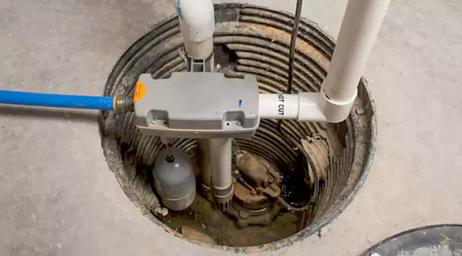 Why Does My Drain Smell Like Sewage?