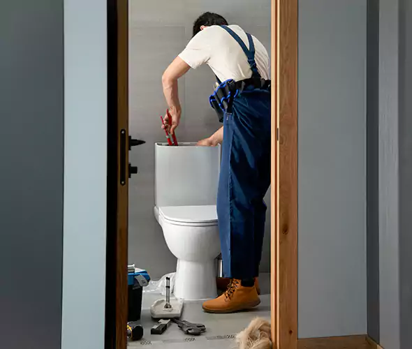 Professional Plumbers for Toilet Bowl Replacement in Fontana, CA: Schedule Affordable Toilet Replacement Services With Us